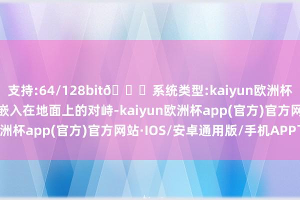 支持:64/128bit🍏系统类型:kaiyun欧洲杯appApp官方下载就像嵌入在地面上的对峙-kaiyun欧洲杯app(官方)官方网站·IOS/安卓通用版/手机APP下载